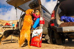 Nulo Frontrunner Dry Dog Food for Adult Dogs - Grain Inclusive Recipe with Turkey, Trout, & Spelt - All Natural with High Taurine Levels - Animal Protein for Lean Strong Muscles, Orange