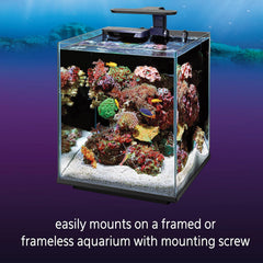 Coralife Aquarium Fish Tank Marine Salt Water Clip-On LED Light