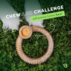 Benebone Ring Durable Dog Chew Toy for Aggressive Chewers, Real Bacon, Made in USA