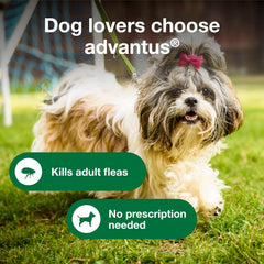 Advantus Dog Advantus Chewable Flea Treatment for Dogs | 30 ct.