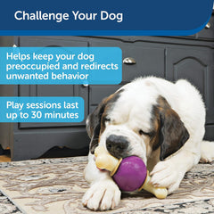 PetSafe® Busy Buddy® Bouncy Bone™, Treat Holding Dog Toy