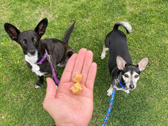 Redbarn Pet Products All-Natural Air Dried Beef Training Treats for Puppies & Dogs – Grain-Free Single Protein Rewards Made in USA for Small, Medium, & Large Breeds