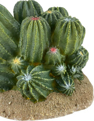 Multi Pet 48593321: Komodo Cactus Plant Barrel, 4In