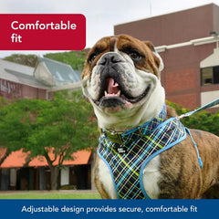 Coastal Pet - Ribbon - Adjustable Dog Collar with Metal Buckle, Brown Paws and Bones