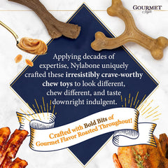 Nylabone Gourmet Style Wishbone Strong Chew Toy for Dogs, Bacon Flavor
