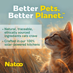 NATOO Cat Food Topper for Picky Eaters & Healthy Soft Cat Treat (Chicken & Brown Rice in Broth), Wet Food with Gravy, High Protein & Limited Ingredient, 2.4 oz (Case of 20)