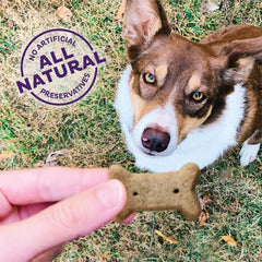 Old Mother Hubbard Wellness Original Mix Dog Biscuits, Natural, Training Treats, Four Flavors, Small Size, (6 Pound Bag)
