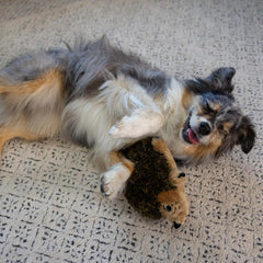 Outward Hound, Hedgehogz Plush Dog Toy