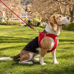 Curli Magnetic Vest Harness Air-Mesh Black