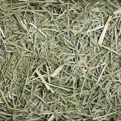 Sun Seed Company Sunnatural Select Spring Harvest Small Animal Timothy Hay