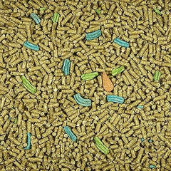 Kaytee® Forti-Diet Pro Health® Guinea Pig Food 25 Lbs