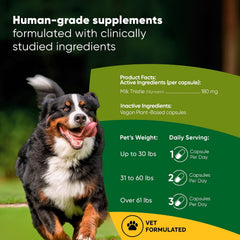 Rooted Owl® Liver Health Supplement for Dogs - Milk Thistle - 60 Vegan Caps