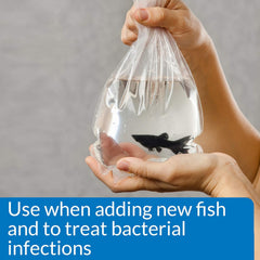 API MELAFIX Freshwater Fish Bacterial Infection Remedy