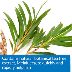 API MELAFIX Freshwater Fish Bacterial Infection Remedy