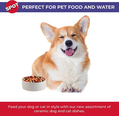 SPOT Standard Crock Dish for Small Animals - Food/Water Bowl for Small Pets, Round Ceramic Bowl with High Walls, Ideal for Birds, Small Cats, Dishwasher Safe - 4 inch, 1 Cup (8oz)
