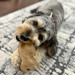 SPOT Dura-Fused Leather - Durable Dog Toy with Squeaker, Real Leather & Jute Fabric, Interactive Toy for Moderate & Aggressive Chewers, Small and Medium Dogs and Puppies