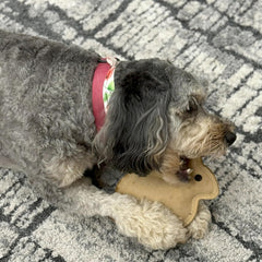 SPOT Dura-Fused Leather - Durable Dog Toy with Squeaker, Real Leather & Jute Fabric, Interactive Toy for Moderate & Aggressive Chewers, Small and Medium Dogs and Puppies