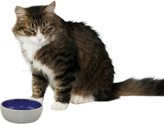 SPOT Ceramic Dish - Whisker-Friendly, Low-Edge Saucer for Cats, Birds, Reptiles, Ideal for Wet or Dry Food, Dishwasher Safe, 5.25-inch Diameter, Capacity: 2 Cups (16 Oz)