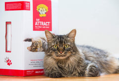 Dr. Elsey's Precious Cat Attract Problem Cat Training Litter