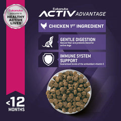 Eukanuba Puppy Small Breed Dry Dog Food