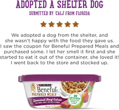 Purina Beneful Gravy Wet Dog Food, Prepared Meals Simmered Beef Entree - (8) 10 oz. Tubs
