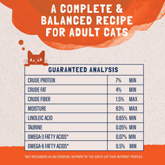 Adult Grain Free Wet Cat Food, Turkey & Duck Recipe, 3 Ounce Pouch (Pack of 4)