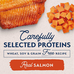 Natural Balance Limited Ingredient Diet Sweet Potato & Fish | Adult Grain-Free Wet Canned Dog Food | 13-oz. Can, (Pack of 12)