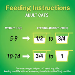 Purina Friskies Indoor Dry Cat Food, Indoor Delights - 16 lb. Bag