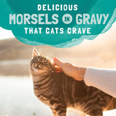 Natural Balance Original Ultra Platefulls Adult Grain-Free Wet Cat Food, Chicken & Salmon Recipe, 3 Ounce Pouch (Pack of 4)