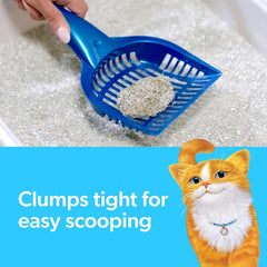 Fresh Step Simply Unscented Clumping Litter, Fresh Step Unscented Cat Litter with Activated Charcoal Technology, 25 lb. Box