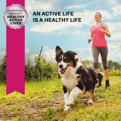 Eukanuba Adult Dry Medium Breed Dog Food, Dry Dog Food for Medium Dogs with Protein, DHA and Vitamins to Support a Healthy Lifestyle