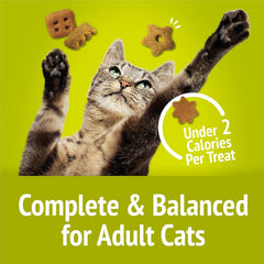 Purina Friskies Natural Cat Treats, Party Mix Natural Yums With Real Chicken & Vitamins, Minerals & Nutrients - (Pack of 10) 2.1 oz. Pouches