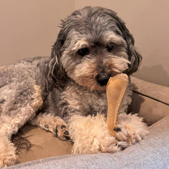 SPOT Dura-Fused Leather Bone - Dog Toy with Squeaker, Made With Real Leather and Jute Fabric, Interactive Toy for Aggressive Chewers, Durable Squeaky Toy for Dogs and Puppies, Small - 7in