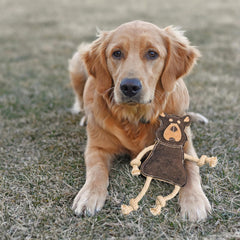 SPOT Dura-Fused Leather Forest Animals - Dog Toy with Squeaker and Rope Limbs, Real Leather and Jute Chew Toy, Durable No-Stuffing Toy For Light to Moderate Chewers - 14in, Assorted Styles, 1 Piece