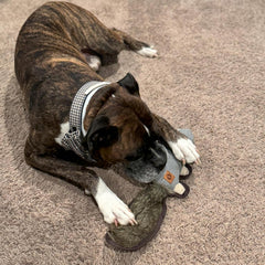 SPOT Dura-Fused Hemp Friends - Dog Toy Made with Hemp Material, Fused with Tricot for Durablity, with Furry Plush Tail and Squeaker, Great for Light to Moderate Chewers - 18" Assorted Styles