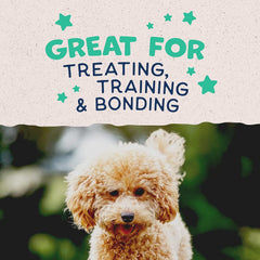Natural Balance Limited Ingredient Mini-Rewards Grain-Free, Training Treats for Dogs | 5.3-oz. Canister