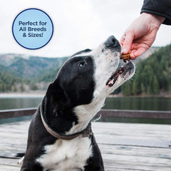 Natural Balance Limited Ingredient Mini-Rewards Grain-Free, Training Treats for Dogs | 5.3-oz. Canister