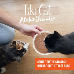 Tiki Cat Aloha Friends, Chicken & Pumpkin, Grain-Free & High Moisture, Wet Cat Food for All Life Stages