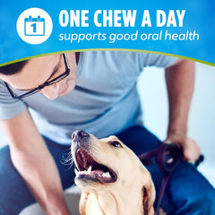Dentalife Purina Large Breed Dog Dental Chews, ActivFresh Daily Oral Care Large Chews - 21 ct. Pouch