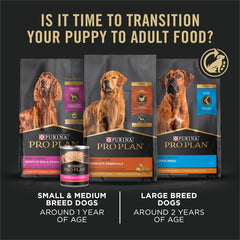 Purina Pro Plan Large Breed Dry Puppy Food, Chicken and Rice Formula - 47 lb. Bag