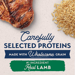 Natural Balance Limited Ingredient Large Breed Adult Dry Dog Food with Healthy Grains, Lamb & Brown Rice Recipe