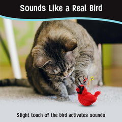 SPOT Song Birds Cat Toys - Touch Activated Singing Catnip Toy Mimics Real Bird Songs, Battery Operated Toy Satisfies Cat's Natural Urge to Hunt - One 5" Song Bird, Assorted Colors