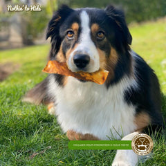 Fieldcrest Farms Nothin' To Hide Flip Chips Dog Treat Beef, 1ea/8.5 oz, 8 pk