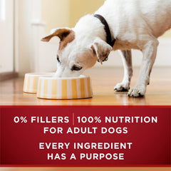Purina ONE High Protein Wet Dog Food True Instinct Tender Cuts in Dog Food Gravy With Real Beef and Bison - (Pack of 12) 13 oz. Cans