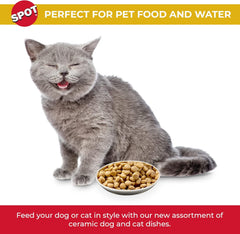 SPOT Best Friends Oval Cat Food Dish - Ceramic Plate with Low Edges, Saucer with Whisker-Friendly Shape and Low Profile Sides, Ideal for Wet or Dry Cat Food, Dishwasher Safe, 6in, Light Grey