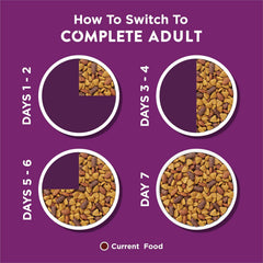 Purina Dog Chow Complete Adult Dry Dog Food Kibble with Lamb Flavor - 18.5 lb. Bag