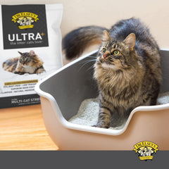 Dr. Elsey's Precious Cat Unscented Ultra+ Cat Litter