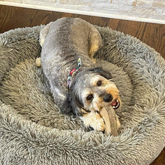 SPOT Dura-Fused Chunkies Ring - All Natural Leather and Felt Dog Toy - No Squeak, No Fluff, Durable, Extra Thick Dog Chew Toy for Aggressive Chewers, Great for Adult Dogs and Teething Puppies, 6in