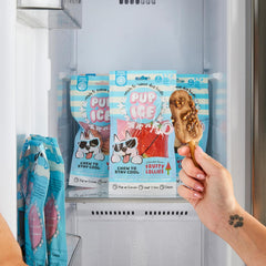 SPOT Pup Ice- Ready to Freeze at Home Dog Treats-Edible Chews for Medium Breed Dogs & Puppies with Real Chicken to Keep Your Pup Cool Year Round
