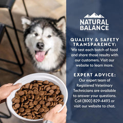 Natural Balance Health Protection Dry Dog Food – Whole Body Health, Easy on Digestion Dog Food Made with Salmon, Brown Rice & Pumpkin for Dogs - 4lbs.